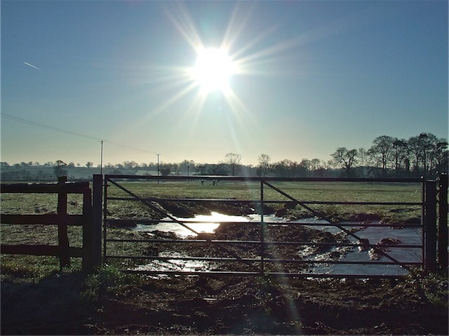 2007_0203finepix0001.jpg