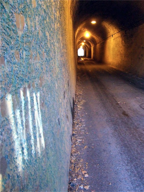 2008_0107temporaryuploadfile0111.jpg