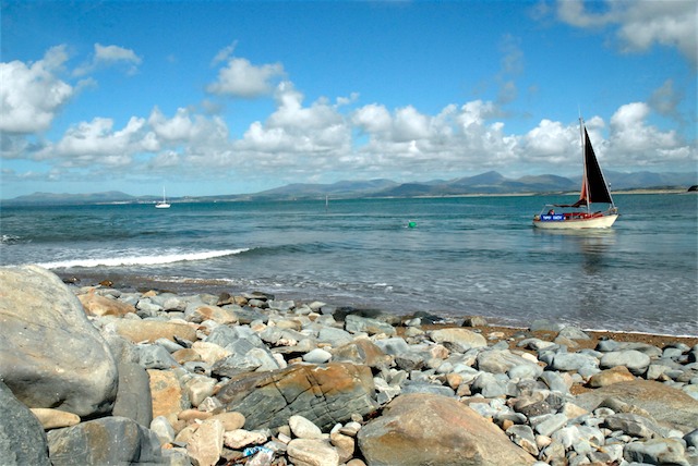 250409corker%20062.jpg